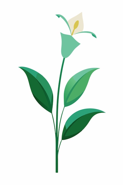 Lily plant minimal design vector illustration