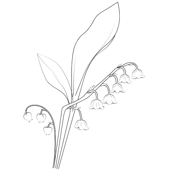 Lily of the Valley Flowers illustration coloring page simplicity Embellishment