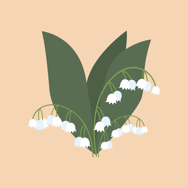 Lily of the valley on an isolated background Vector flat illustration of summer flower