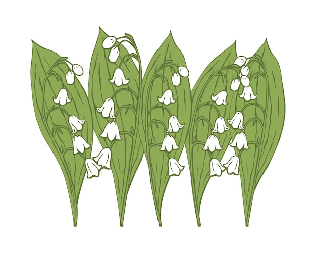 Lily of the valley Set of spring flowers Vector illustration