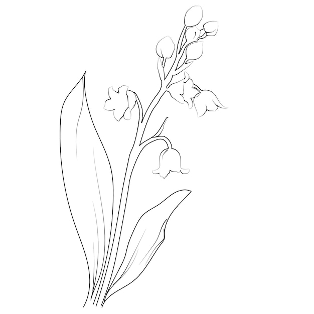 Lily of the valley tattoo drawings Lily of the valley flower coloring pages for kids