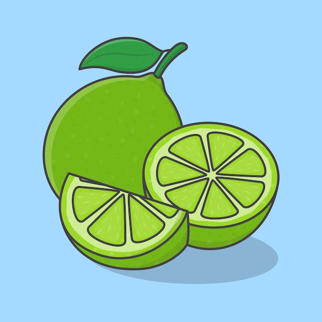 Lime Fruit Cartoon Vector Illustration Slice And Whole Of Lime Flat Icon Outline