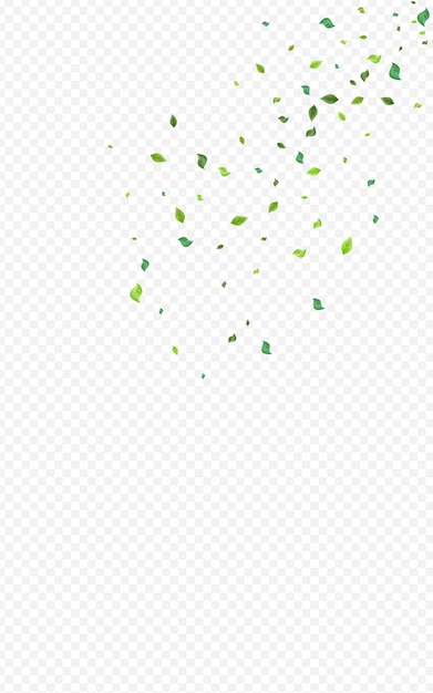 Lime Greens Abstract Vector Transparent Background. Forest Foliage Design. Swamp Leaves Realistic Illustration. Leaf Flying Backdrop.