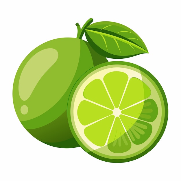 Lime vector art illustration 3