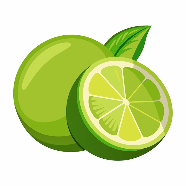 Lime vector art illustration 8