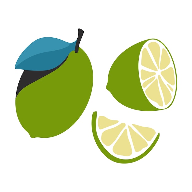 Vector lime whole and slice vector cartoon set isolated on a white background