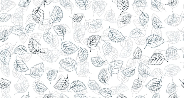 Linden birch or basil leaves outline vector seamless pattern gr