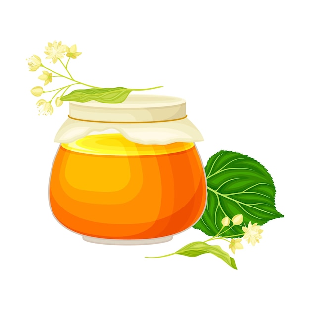 Linden Flower Clusters with Monofloral Honey Poured in Glass Jar Vector Illustration