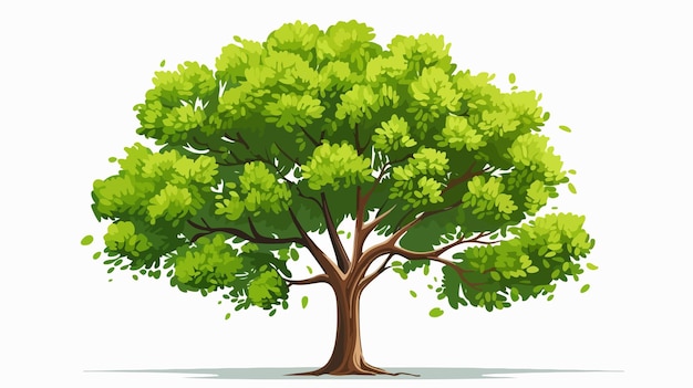 Linden Tree Flat Vector Illustration on White Background