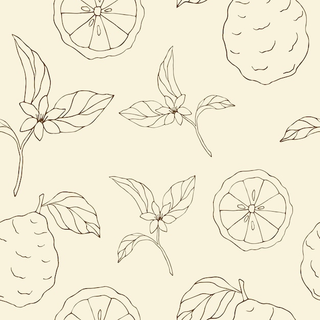 Line art bergamot seamless pattern