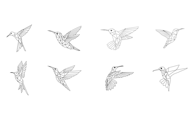 Line Art Collection of Hummingbird Vector