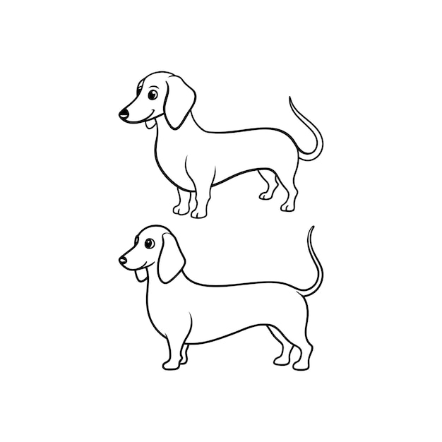 Vector line art dachshund dog continuous line drawing vector illustration