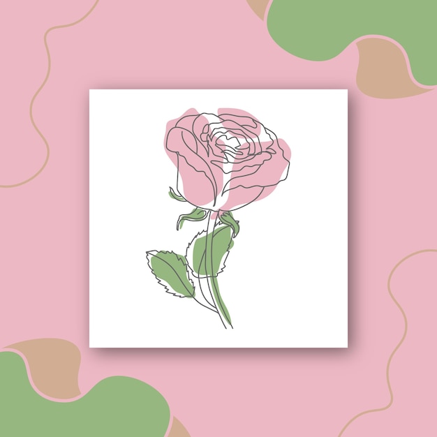 Line art drawing of beautiful garden rose with leaves and color spots on the Decorative background