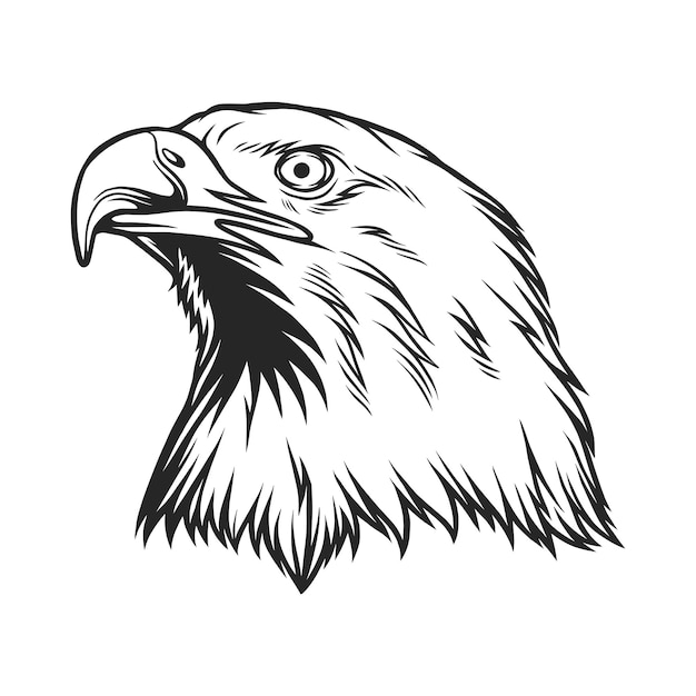 Line art eagle mascot design illustration