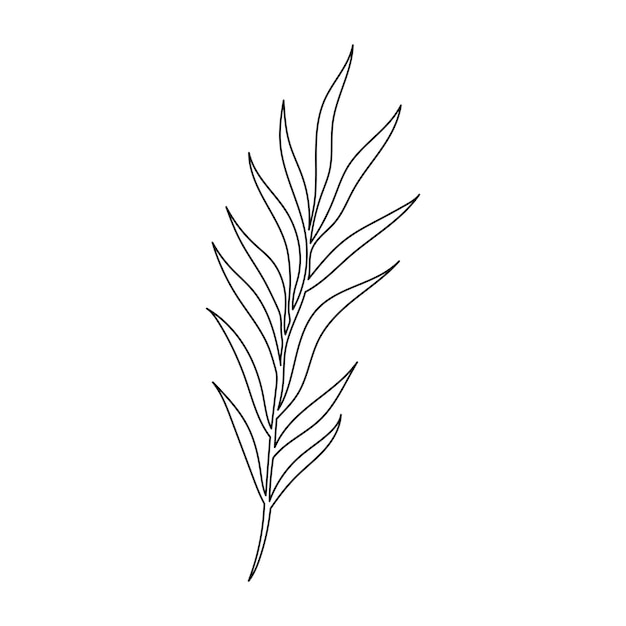 Line Art Flower and Plants Aesthetic Hand Drawn Design Elements