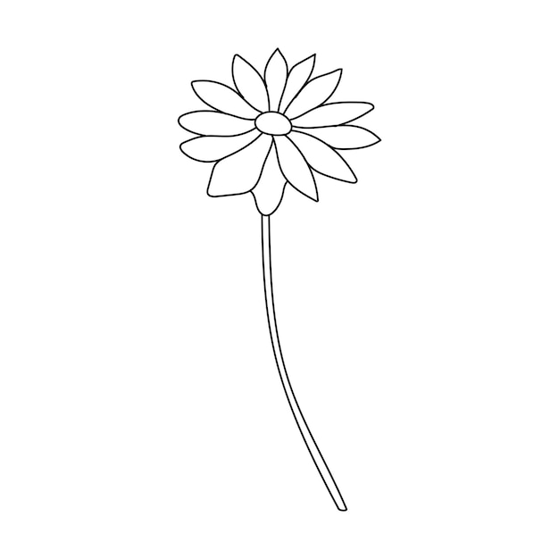 Line Art Flower and Plants Aesthetic Hand Drawn Design Elements