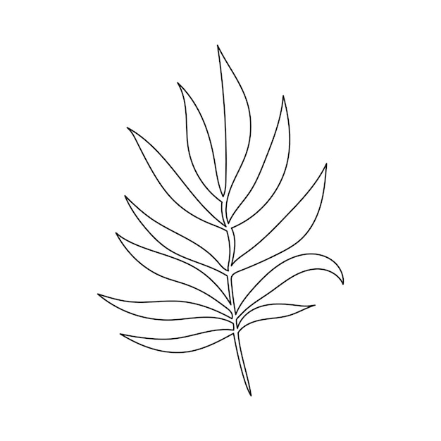 Line Art Flower and Plants Aesthetic Hand Drawn Design Elements