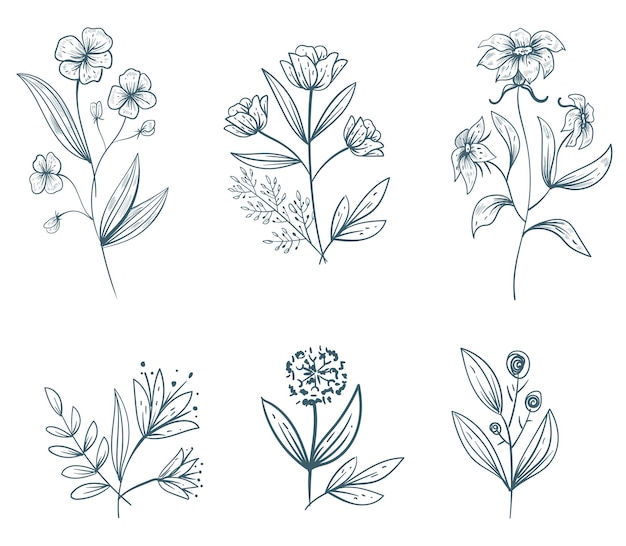 Line art flowers plant floral leaves isolated concept set flat graphic design illustration