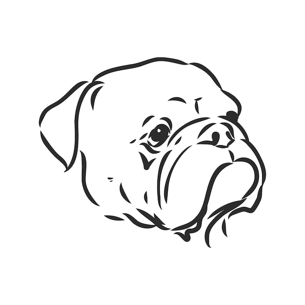 Line art of french bulldog with three difference of face bulldog vector sketch