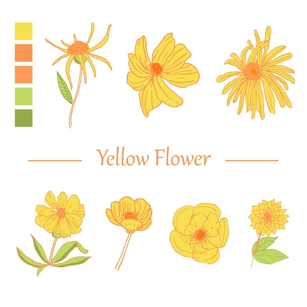 Line art hand drawn yellow flower collection