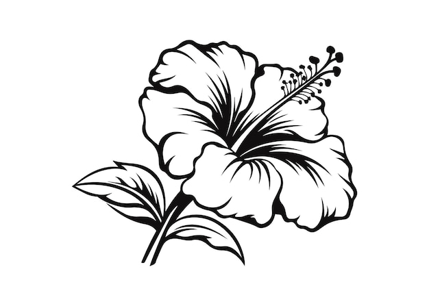 line art of a hibiscus vector silhouette illustration