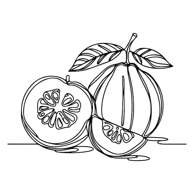 line art illustration of guava