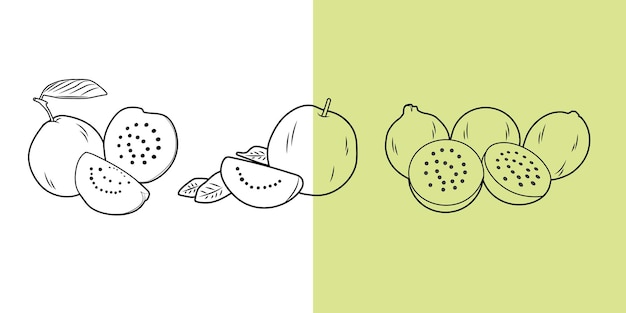 Line art isolated doodle Fresh exotic fruit age concept for fruit garden icon