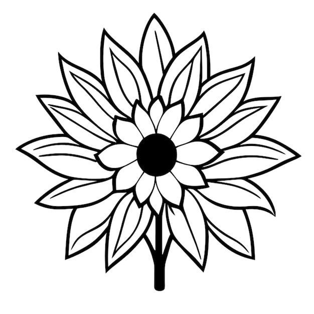 line art neotraditional style sunflower with leaves tatto black and white outline only vector