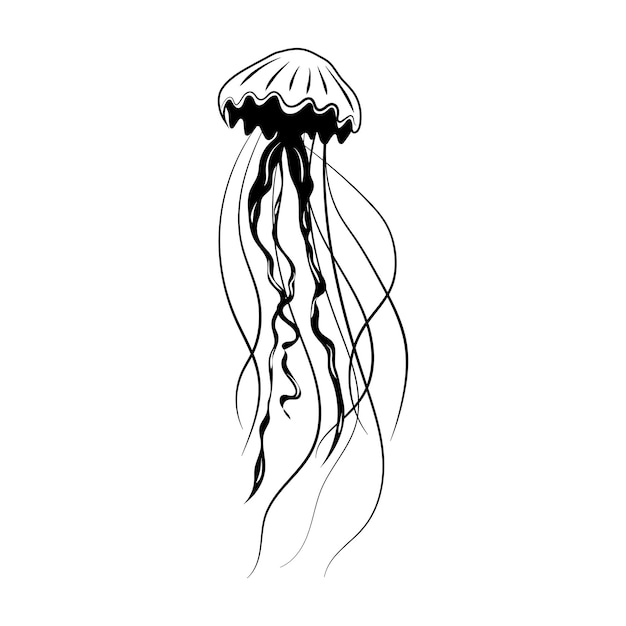 Line art one line jellyfish for decoration design Black line vector illustration