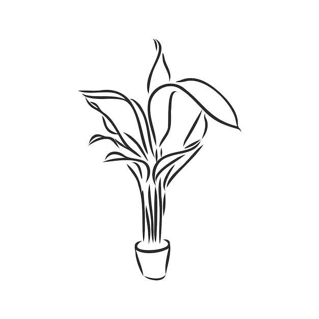 Line art plant in pot indoor plant vector sketch on a white background