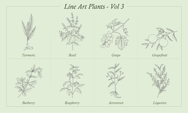 Line Art Plants Vol 3