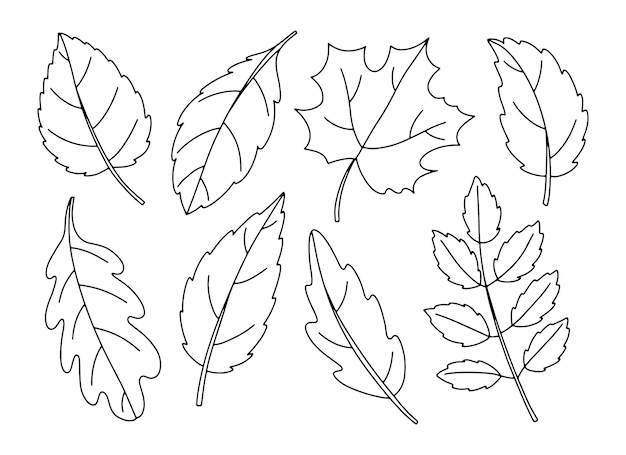 Line art set of autumn leaves outline collection