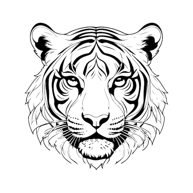 Vector line art tiger on white background sketch style vector graphic icon animal