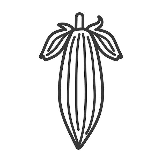 Line drawing of a cocoa pod with a pointed tip