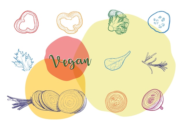 Vector line drawing of each vegetable cut into pieces