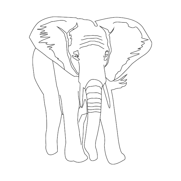 A line drawing of an elephant with the word elephant on it