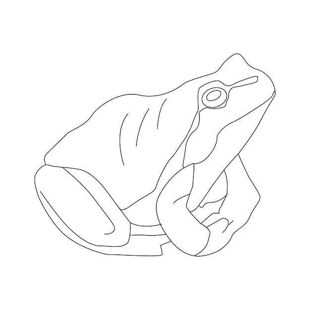 A line drawing of a frog with the letter t on it