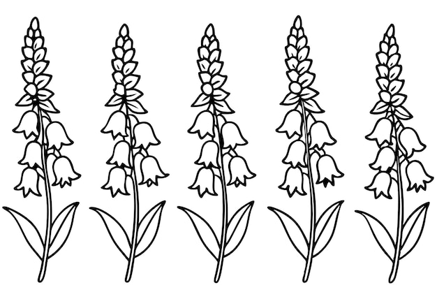 a line of flowers drawn on a white background with a line of flowers