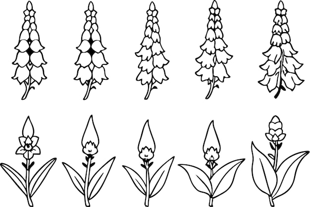 Vector a line of flowers drawn on a white background