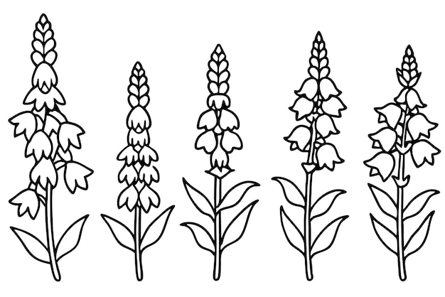 a line of flowers drawn on a white background