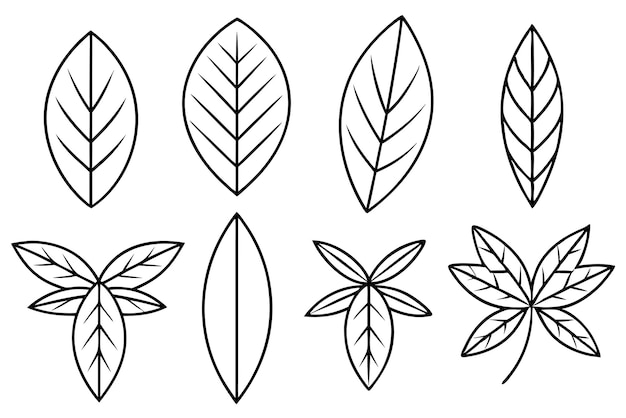 a line of leaves drawn on a white background