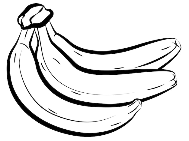 Linear drawing banana, Sketch for coloring booking page