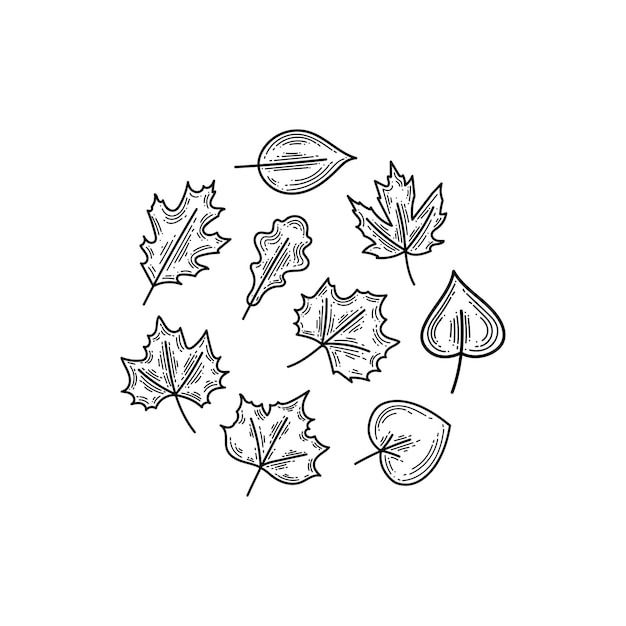 Linear set of drawn autumn leaves