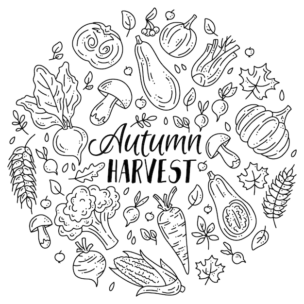 linear set of vegetables and mushrooms for the autumn harvest in doodle style