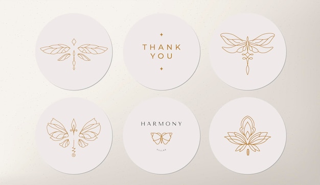 Linear template logo symbols with luxury dragonfly on a nude background for social networks