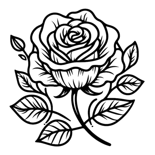 Linear vector drawing of a rose in black and white