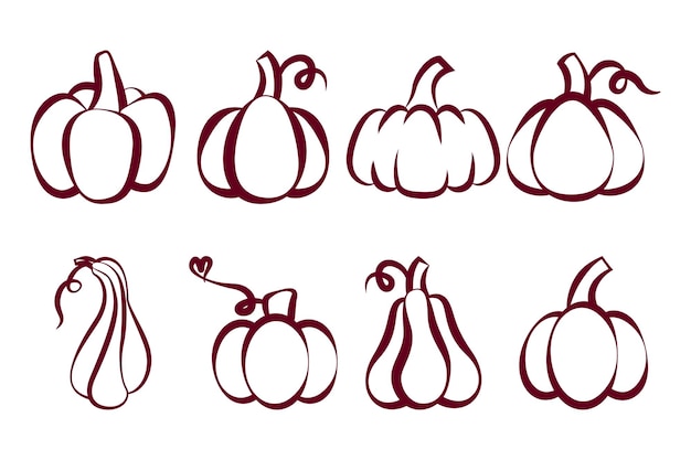 Lineart of various pumpkins set Isolated on white background Elements for autumn needs