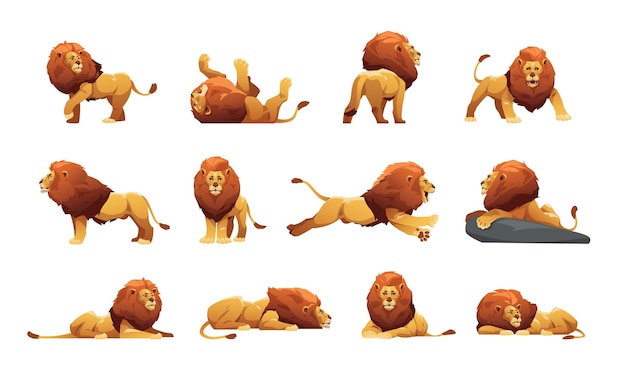 Lion collection Cartoon male jungle cats in different poses cute big cats with fur and tails safari wildlife icons savana predator animal Vector isolated set Strong character hunter