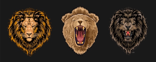 Lion face set