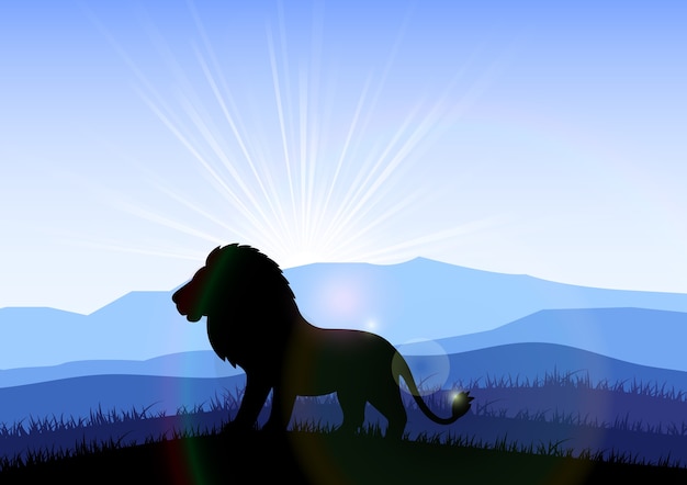 Vector lion in the field at dawn